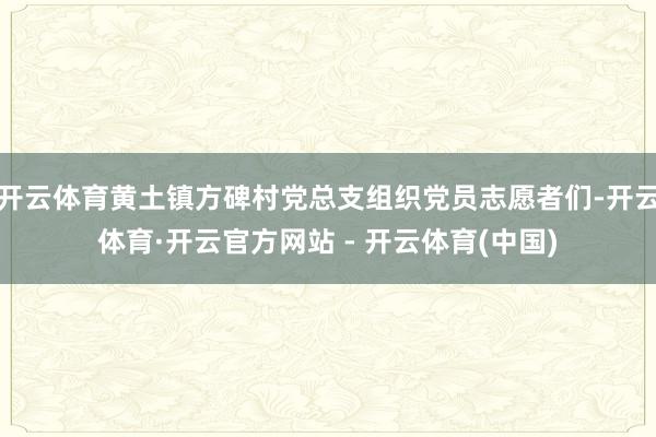 开云体育黄土镇方碑村党总支组织党员志愿者们-开云体育·开云官方网站 - 开云体育(中国)