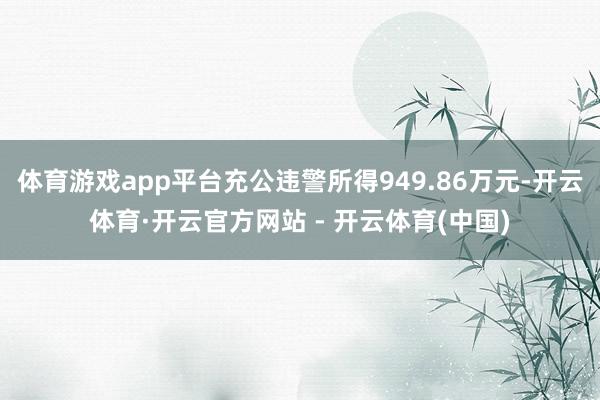 体育游戏app平台充公违警所得949.86万元-开云体育·开云官方网站 - 开云体育(中国)