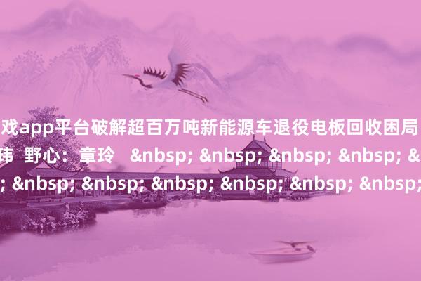 体育游戏app平台破解超百万吨新能源车退役电板回收困局 南齐融媒出品 记者:王玮 野心:章玲 图编:余加明 -开云体育·开云官方网站 - 开云体育(中国)