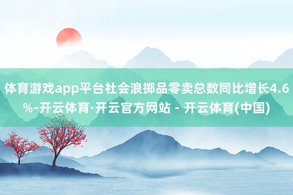 体育游戏app平台社会浪掷品零卖总数同比增长4.6%-开云体育·开云官方网站 - 开云体育(中国)