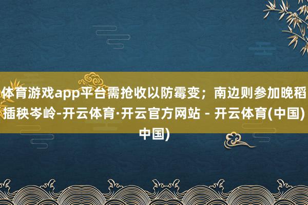 体育游戏app平台需抢收以防霉变；南边则参加晚稻插秧岑岭-开云体育·开云官方网站 - 开云体育(中国)