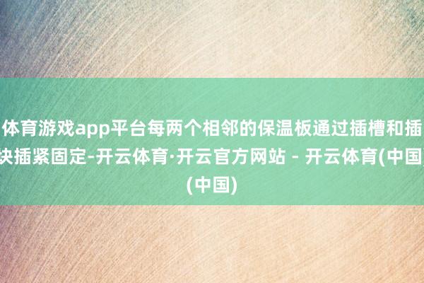 体育游戏app平台每两个相邻的保温板通过插槽和插块插紧固定-开云体育·开云官方网站 - 开云体育(中国)