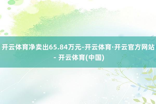 开云体育净卖出65.84万元-开云体育·开云官方网站 - 开云体育(中国)